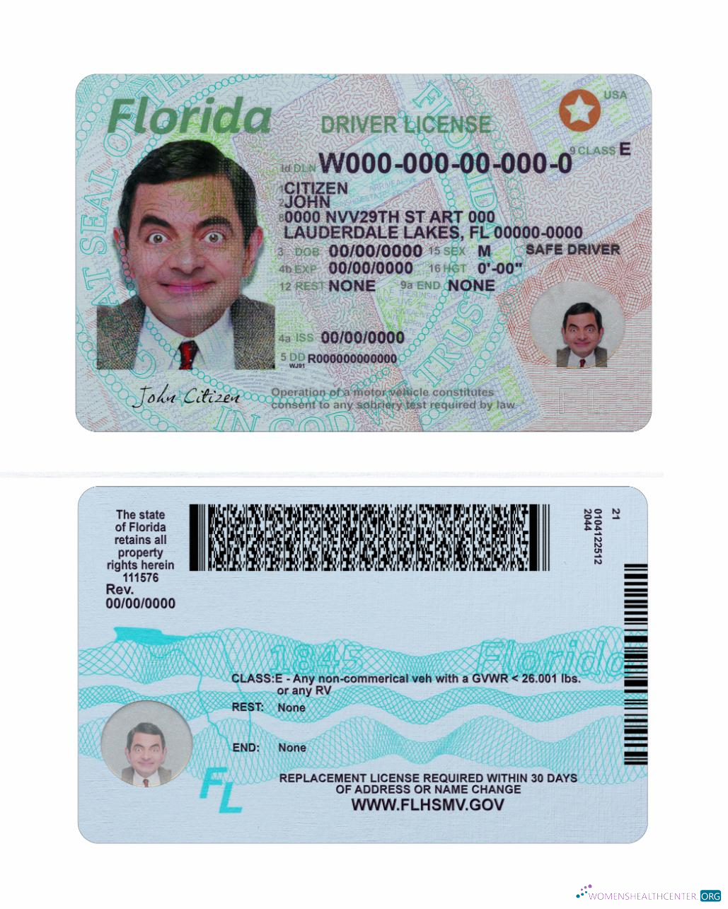 download USA Florida driving license 2018 present